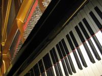 Graham Wells Piano Tuning & Repairs image 2